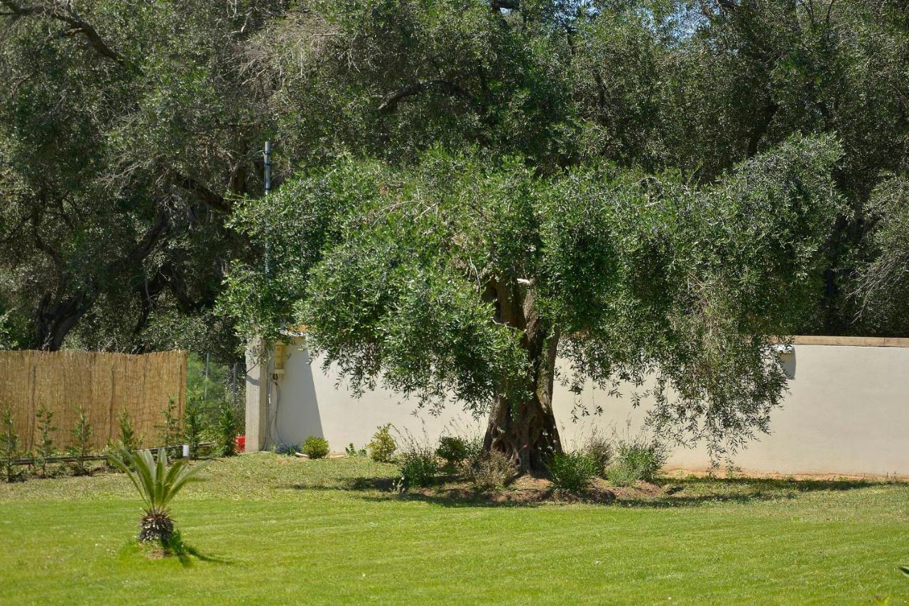 Villa La Casa Del Sole Halikounas Exterior foto